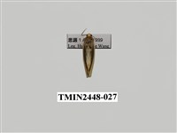 藏品(雙分苔蛾)的圖片